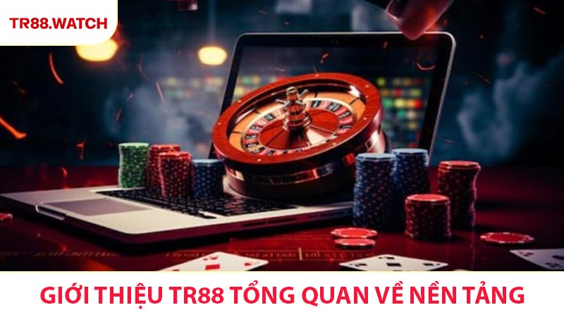 Giới thiệu TR88 tổng quan về nền tảng giải trí cá cược