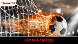 Kèo Nhà Cái TR88 - Hướng Dẫn Đọc Tỷ Lệ Chính Xác