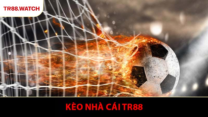 Kèo Nhà Cái TR88 - Hướng Dẫn Đọc Tỷ Lệ Chính Xác