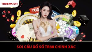 Chuyên Gia Tiết Lộ Bí Quyết Soi Cầu Xổ Số TR88 Chính Xác