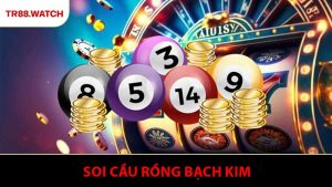 Soi Cầu Rồng Bạch Kim - Phương Pháp Phân Tích Số Theo Chu Kỳ Hiệu Quả
